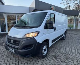 Fiat Ducato Gebrauchtwagen