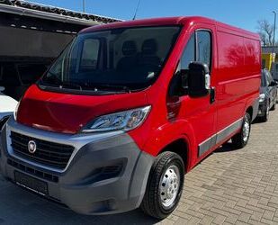 Fiat Ducato Gebrauchtwagen
