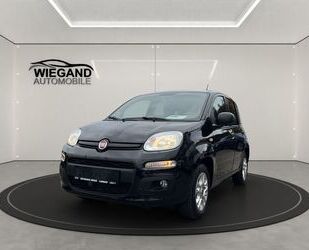 Fiat Panda Gebrauchtwagen