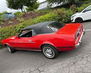 Ford Mustang Gebrauchtwagen