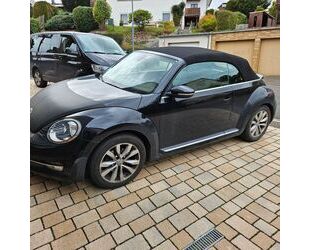 VW Beetle Gebrauchtwagen