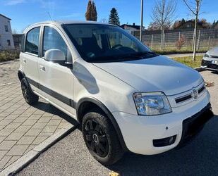 Fiat Panda Gebrauchtwagen