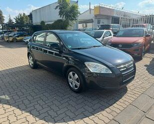 Kia ceed / Ceed Gebrauchtwagen