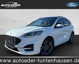 Ford Kuga Gebrauchtwagen
