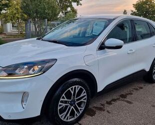 Ford Kuga Gebrauchtwagen