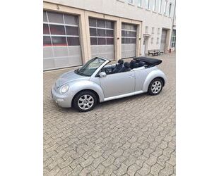 VW Beetle Gebrauchtwagen