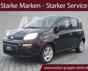 Fiat Panda Gebrauchtwagen