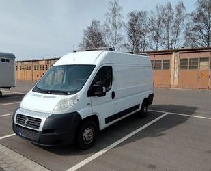 Fiat Ducato Gebrauchtwagen