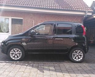 Fiat New Panda Gebrauchtwagen