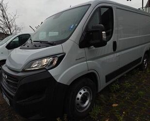 Fiat Ducato Gebrauchtwagen