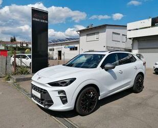 Cupra Terramar Gebrauchtwagen