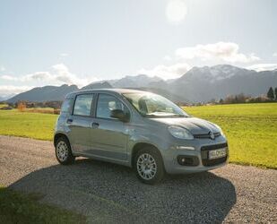 Fiat Panda Gebrauchtwagen