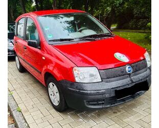 Fiat Panda Gebrauchtwagen