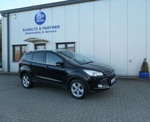 Ford Kuga Gebrauchtwagen