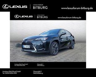 Lexus UX Gebrauchtwagen