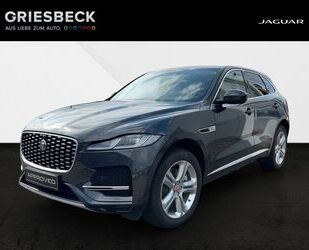 Jaguar F-Pace Gebrauchtwagen