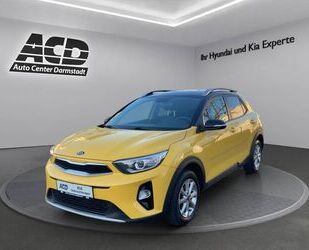 Kia Stonic Gebrauchtwagen