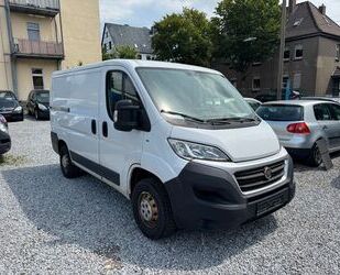 Fiat Ducato Gebrauchtwagen