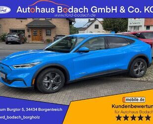 Ford Mustang Mach-E Gebrauchtwagen