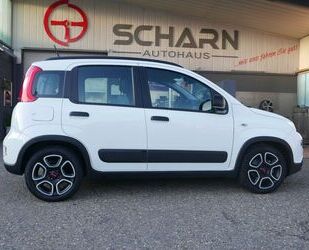 Fiat Panda Gebrauchtwagen