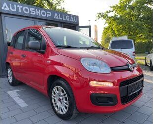 Fiat Panda Gebrauchtwagen