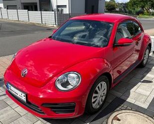 VW Beetle Gebrauchtwagen