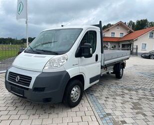 Fiat Ducato Gebrauchtwagen