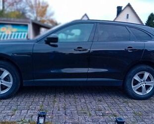 Jaguar F-Pace Gebrauchtwagen