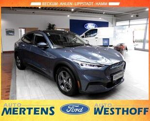 Ford Mustang Mach-E Gebrauchtwagen