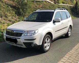 Subaru Forester Gebrauchtwagen