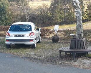 Peugeot 206 Gebrauchtwagen