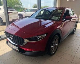 Mazda CX-30 Gebrauchtwagen