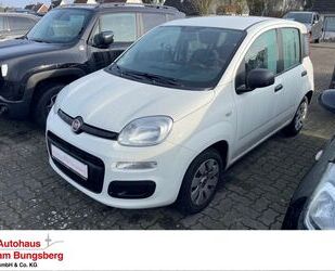 Fiat Panda Gebrauchtwagen