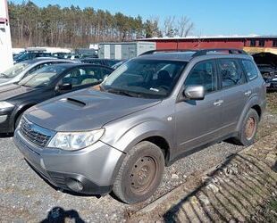 Subaru Forester Gebrauchtwagen