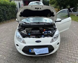 Ford Ka/Ka+ Gebrauchtwagen