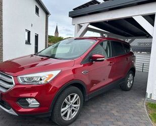 Ford Kuga Gebrauchtwagen