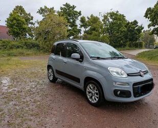 Fiat Panda Gebrauchtwagen