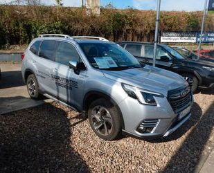 Subaru Forester Gebrauchtwagen
