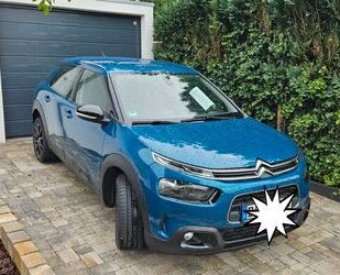 Citroen C4 Cactus Gebrauchtwagen