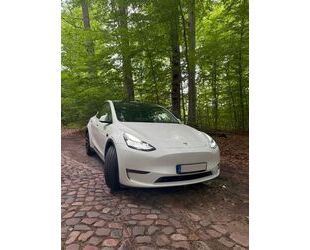 Tesla Model Y Gebrauchtwagen