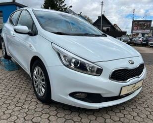 Kia ceed / Ceed Gebrauchtwagen