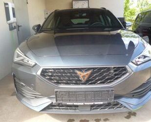 Cupra Leon Gebrauchtwagen