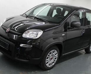 Fiat Panda Gebrauchtwagen