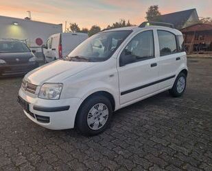Fiat Panda Gebrauchtwagen