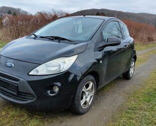 Ford Ka/Ka+ Gebrauchtwagen
