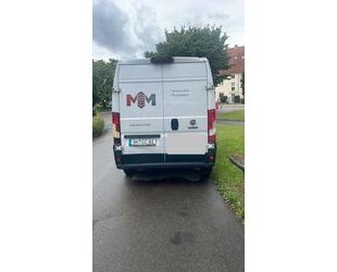 Fiat Ducato Gebrauchtwagen