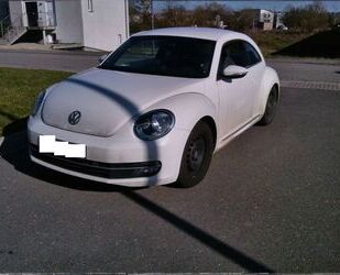 VW Beetle Gebrauchtwagen