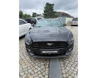 Ford Mustang Gebrauchtwagen
