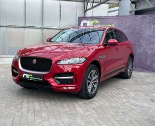 Jaguar F-Pace Gebrauchtwagen