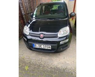 Fiat Panda Gebrauchtwagen
